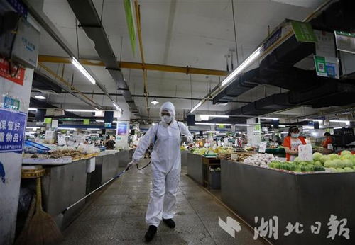 武汉农贸市场开展消杀作业