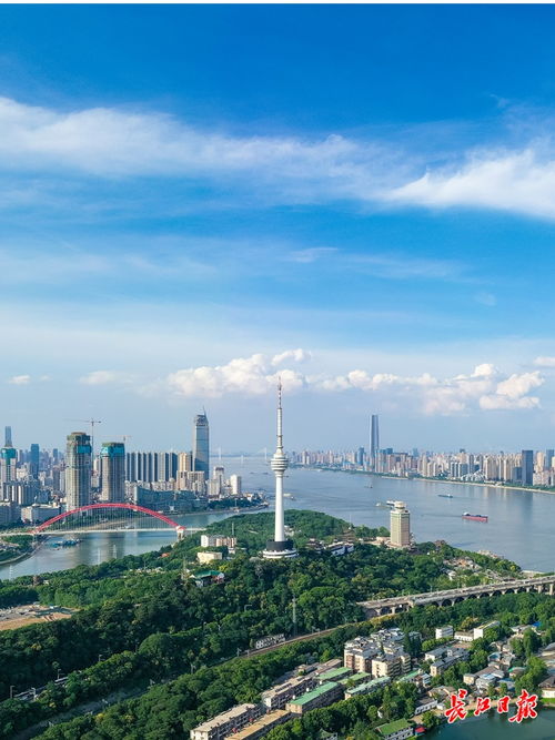 答好 时代考题 ,加快探索超大城市现代化治理新路子