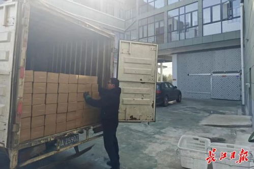 中新网湖北 一天10万 黄陂这家企业风干鱼网售爆单