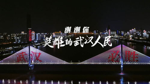 谢谢你,英雄的武汉人民