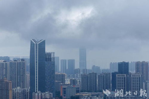 武汉入梅,积云流动